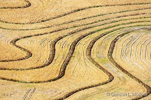 Field Contours_29866.jpg - Photographed near Port Lavaca, Texas, USA.